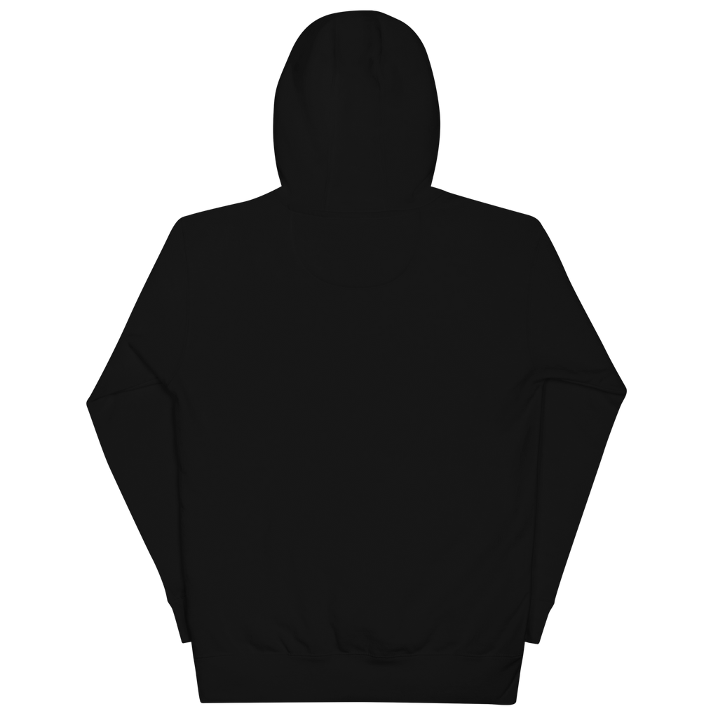 Conflux Reels Embroidered Hoodie in black, back