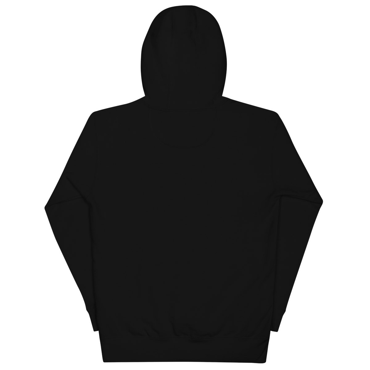Conflux Reels Embroidered Hoodie in black, back