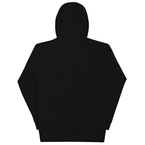Conflux Reels Embroidered Hoodie in black, back